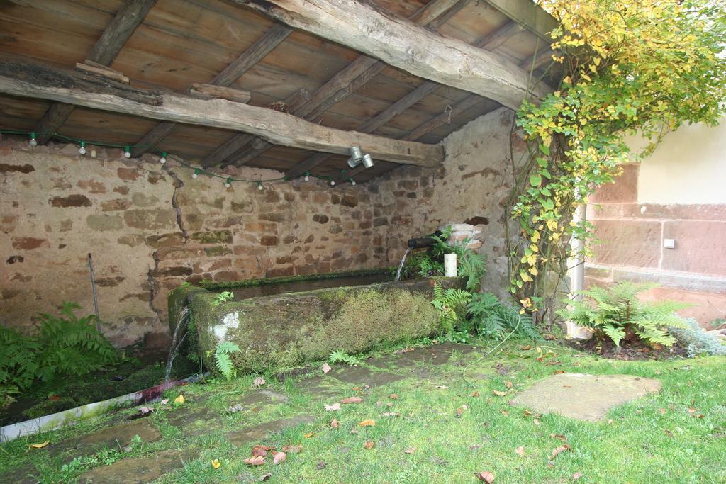 Auberge Du Ruxelier Hotell Cheniménil Exteriör bild