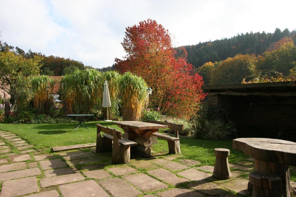 Auberge Du Ruxelier Hotell Cheniménil Exteriör bild